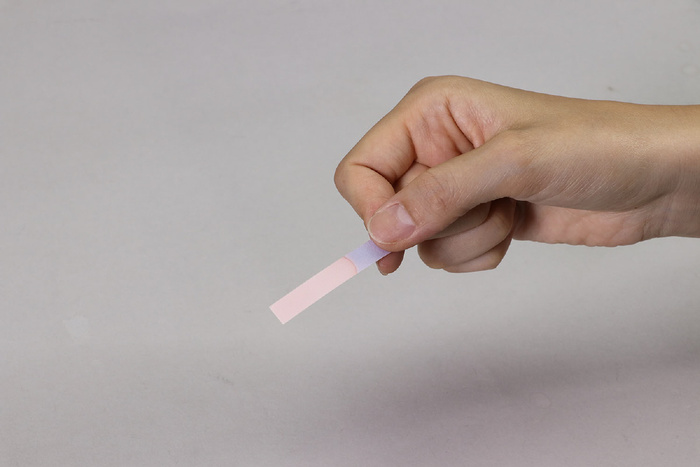 リトマス試験紙（赤・青　各50枚）17