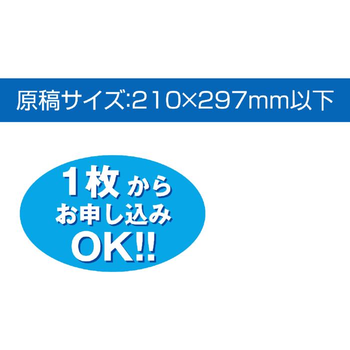 マイカレンダー A31