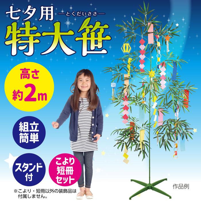 七夕特大笹　2m　こより短冊セット1