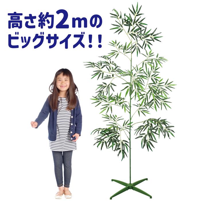 七夕特大笹　2m　こより短冊セット2