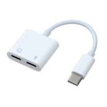 Type-C 2in1　充電＆イヤホン変換アダプタ