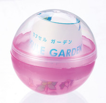 カプセル栽培キット　レモンバーム