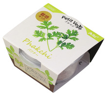 プチベジ　パクチー