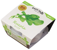 プチガーデン　ルッコラ