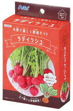 手のひら栽培　ラディッシュ