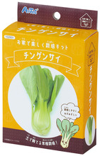 手のひら栽培　チンゲンサイ