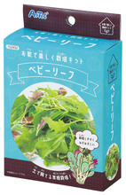 手のひら栽培　ベビーリーフミックス