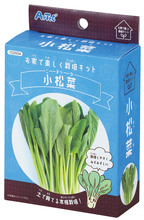 手のひら栽培　ベビー小松菜