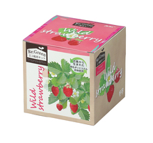 Re：Green　ワイルドストロベリー