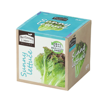 Re：Green　サニーレタス