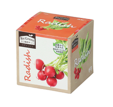 Re：Green　ラディッシュ