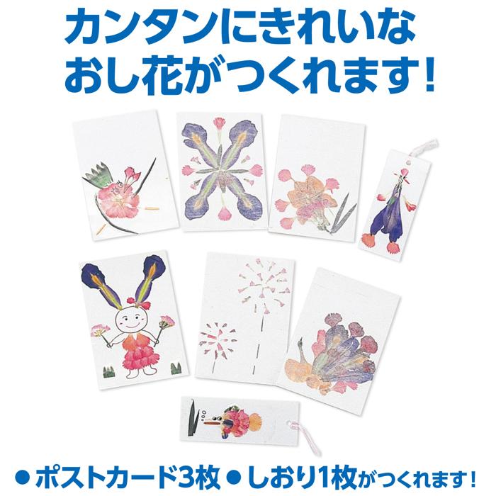 押し花セット1