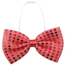 キラキラ蝶ネクタイ　赤