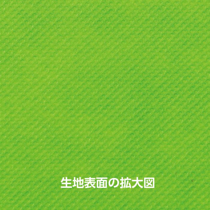 カラー不織布　10m巻　黄緑2