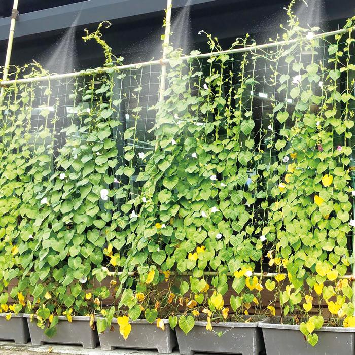 かんたんミストシャワー7