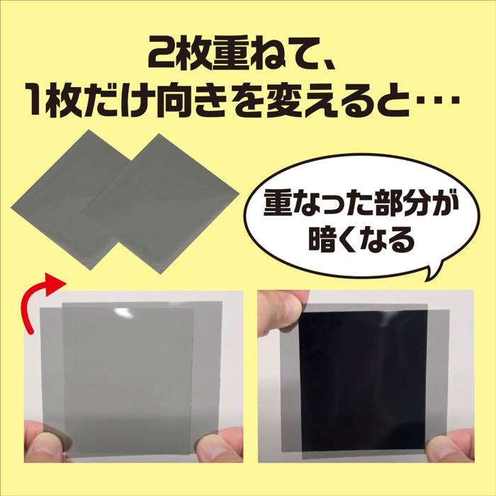 偏光板 2枚入2