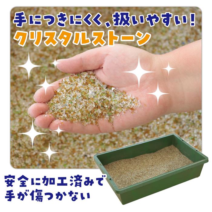 恐竜探しイベントセット　リアルカラーver.4