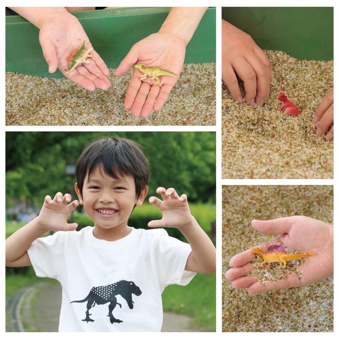 恐竜探しイベントセット　リアルカラーver.7