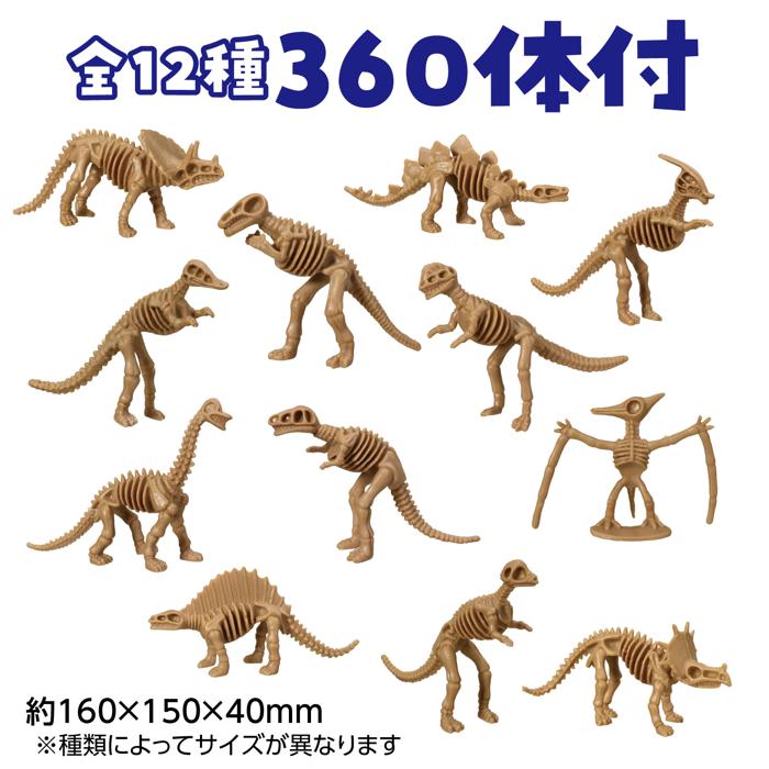 恐竜探しイベントセット　スケルトンver.2