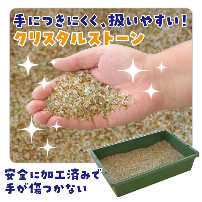 恐竜探しイベントセット　スケルトンver.4