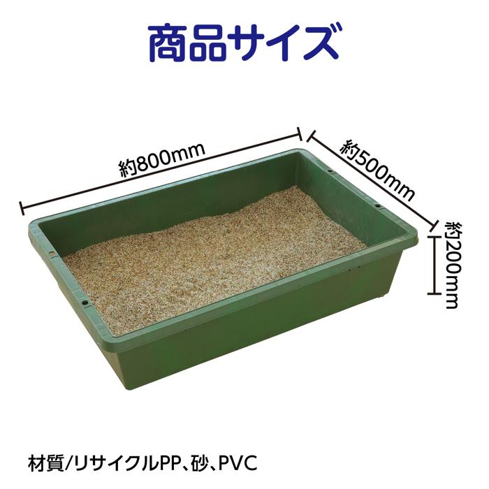 恐竜探しイベントセット　スケルトンver.6