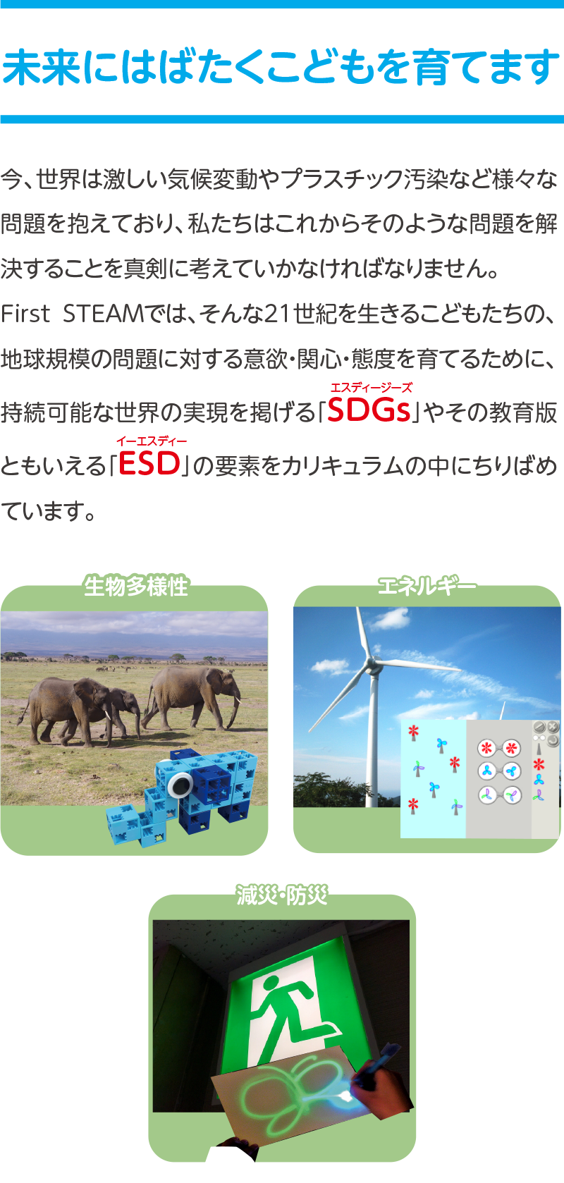 未来にはばたくこどもを育てます,今、世界は激しい気候変動やプラスチック汚染など様々な問題を抱えており、私たちはこれからそのような問題を解決することを真剣に考えていかなければなりません。
First STEAMでは、そんな21世紀を生きるこどもたちの、地球規模の問題に対する意欲・関心・態度を育てるために、持続可能な世界の実現を掲げる「SDGs」やその教育版ともいえる「ESD」の要素をカリキュラムの中にちりばめています。,生物多様性,エネルギー,減災・防災