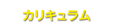カリキュラム